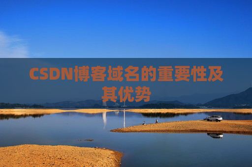 CSDN博客域名的重要性及其优势