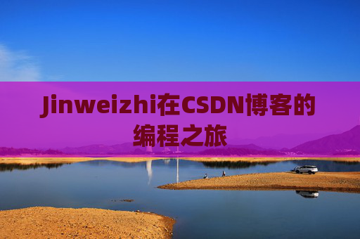 Jinweizhi在CSDN博客的编程之旅